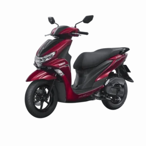FREEGO PHIÊN BẢN TIÊU CHUẨN 2025